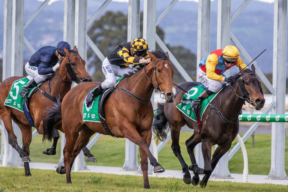 2020 Memsie Stakes Final Field and Barriers