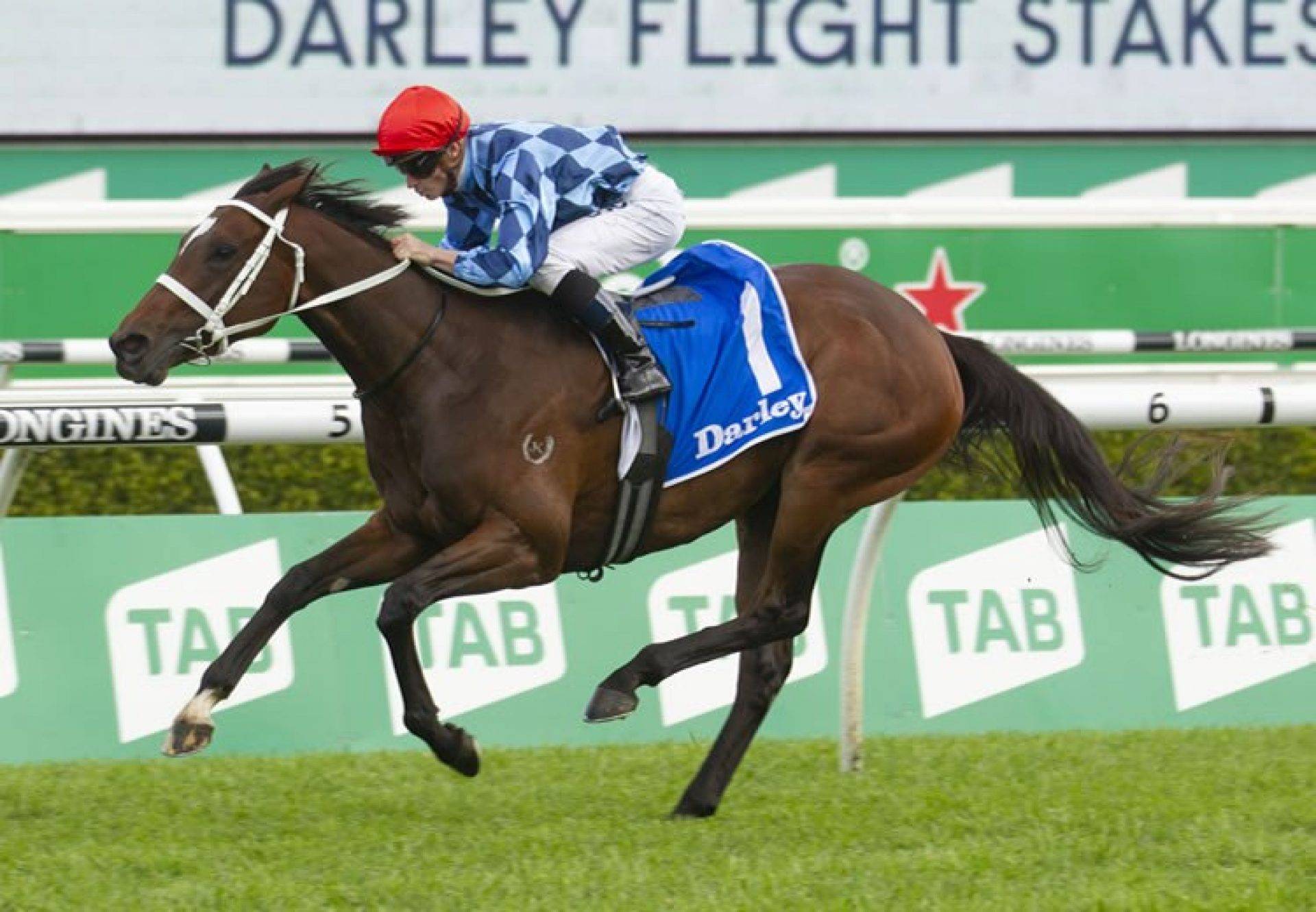 Favourite Funstar Opts Out Of Winx Stakes