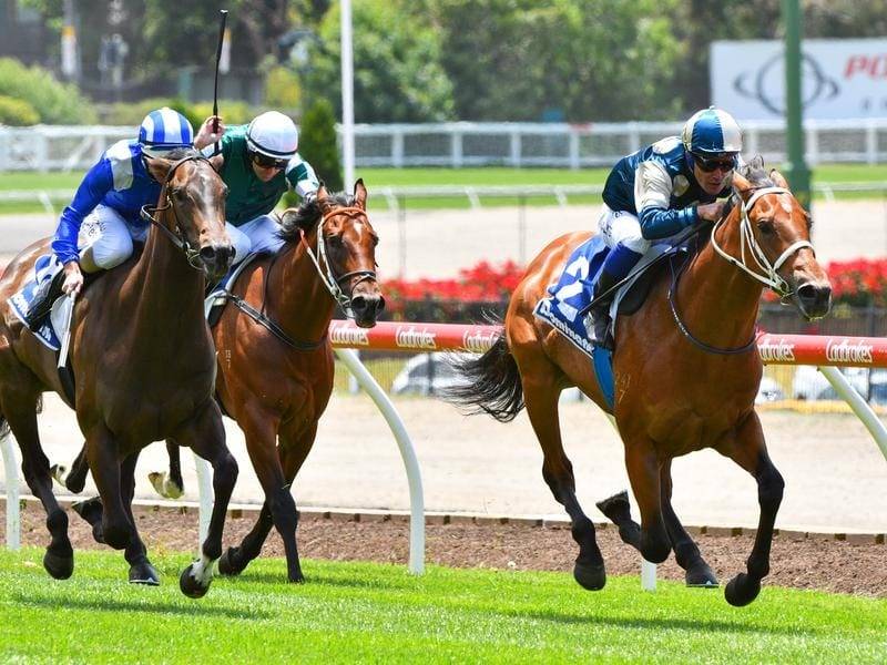 2020 Memsie Stakes Day Preview