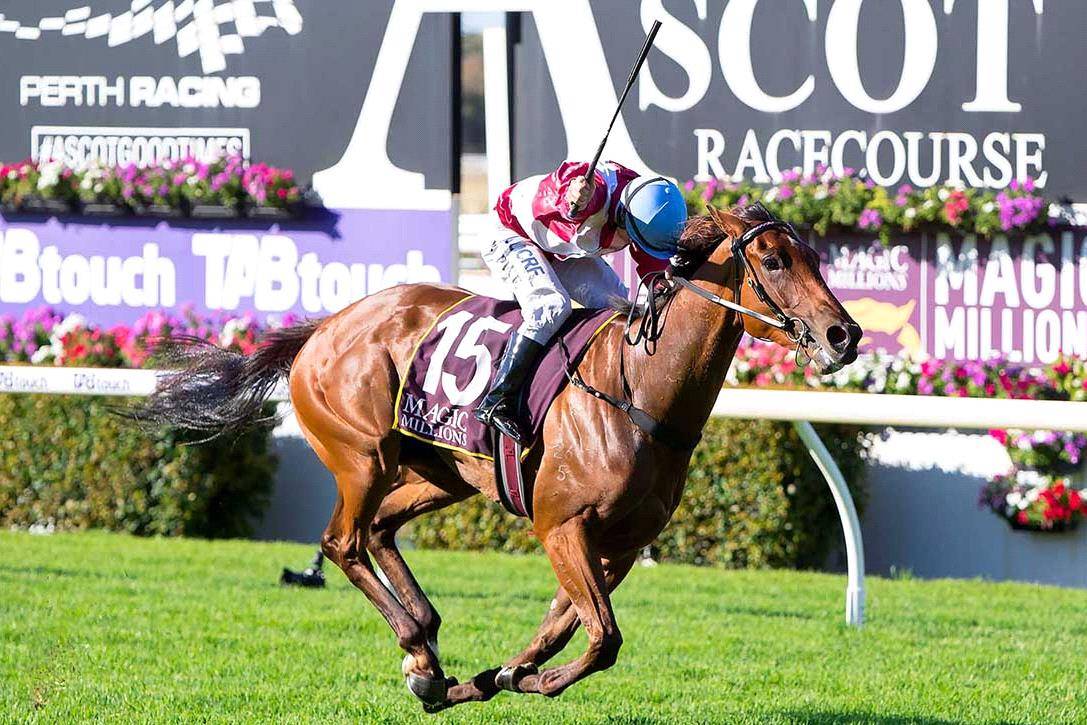 kingston town classic winner arcadia queen set to fly in the golden eagle