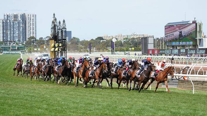 European Import Ashrun Firms from $51 into $18 For 2020 Melbourne Cup