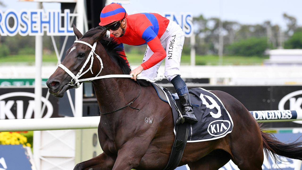 2020 Turnbull Stakes Final Field, Odds, & Barriers