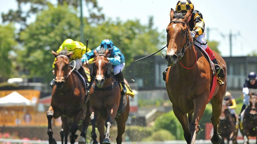 2020 Sir Rupert Clarke Stakes Preview and Tips