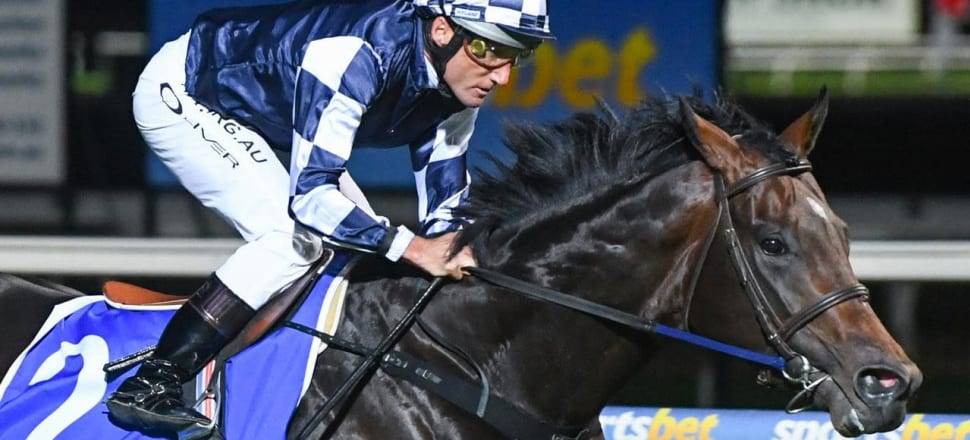 2020 Underwood Stakes Preview, Odds, and Tips