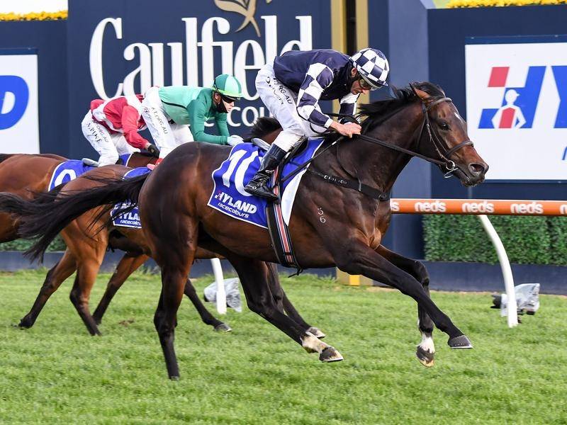 2020 Caulfield Stakes Preview, Odds, & Tips