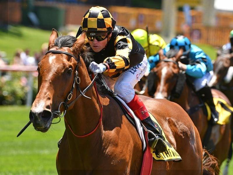 2020 Rupert Clarke Stakes Field and Barriers: Behemoth Favourite