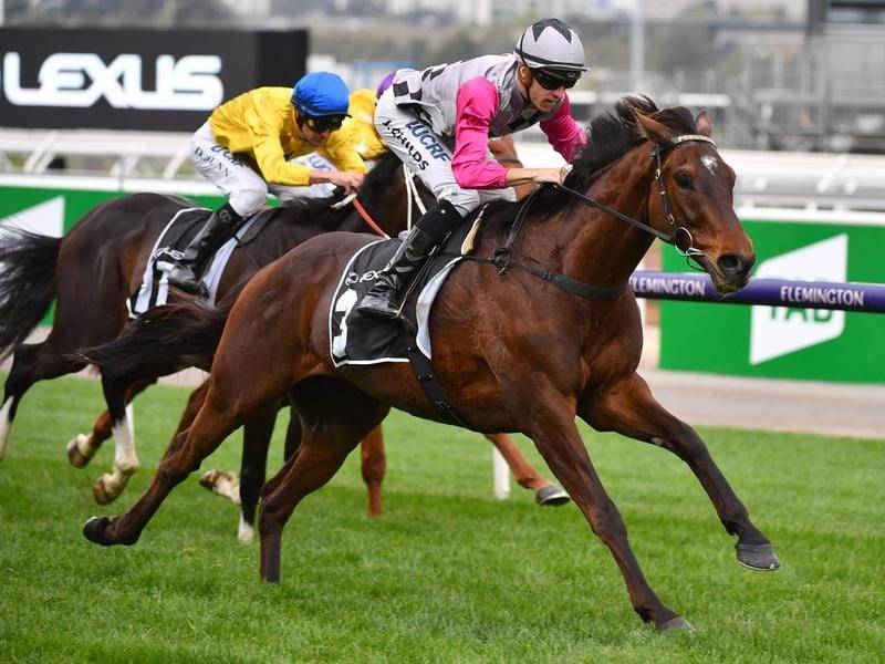 5 September: 2020 Feehan Stakes Day The Valley Tips & Preview