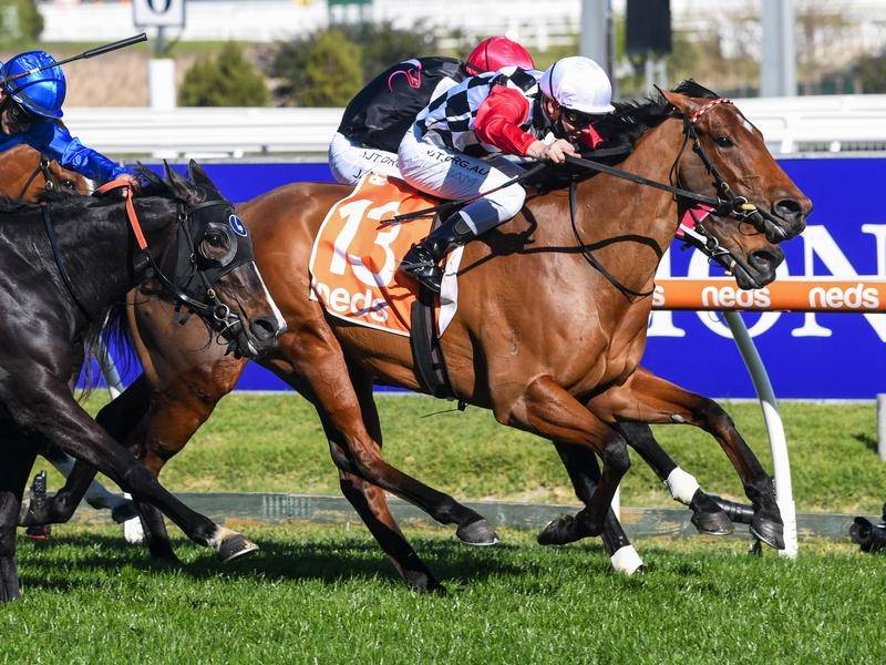 Undefeated Diamond set to sparkle in Moir