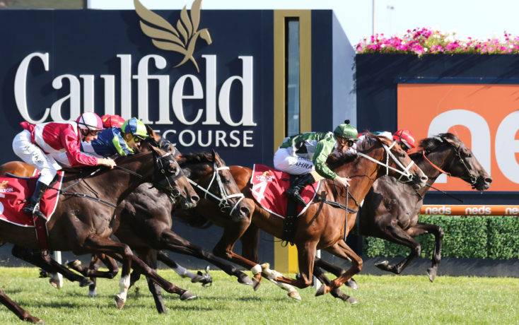 September 19: 9 Horses to Watch on Sir Rupert Clarke Stakes Day