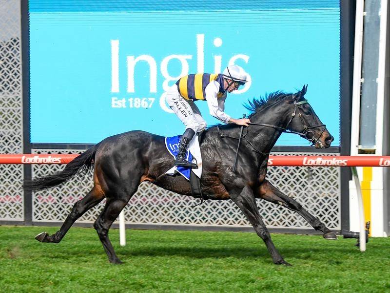 Cox Plate test for improving Harbour Views
