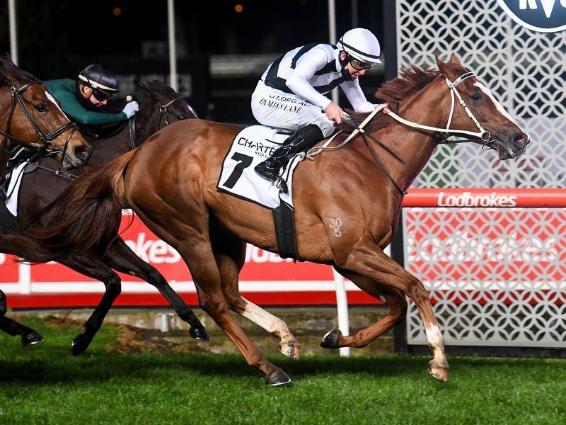 Pippie leads throughout to win Moir Stakes