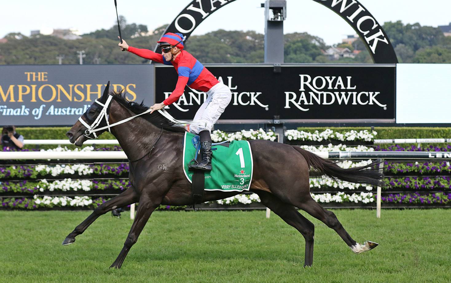 2020 Turnbull Stakes Preview, Odds & Tips