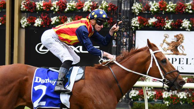 Nature Strip Back On Track for The Everest After Trial