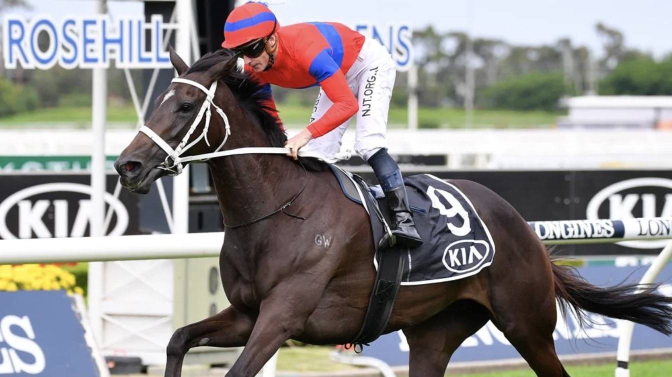 5 Group 1 Winners to Clash in 2020 George Main Stakes: Field & Barriers