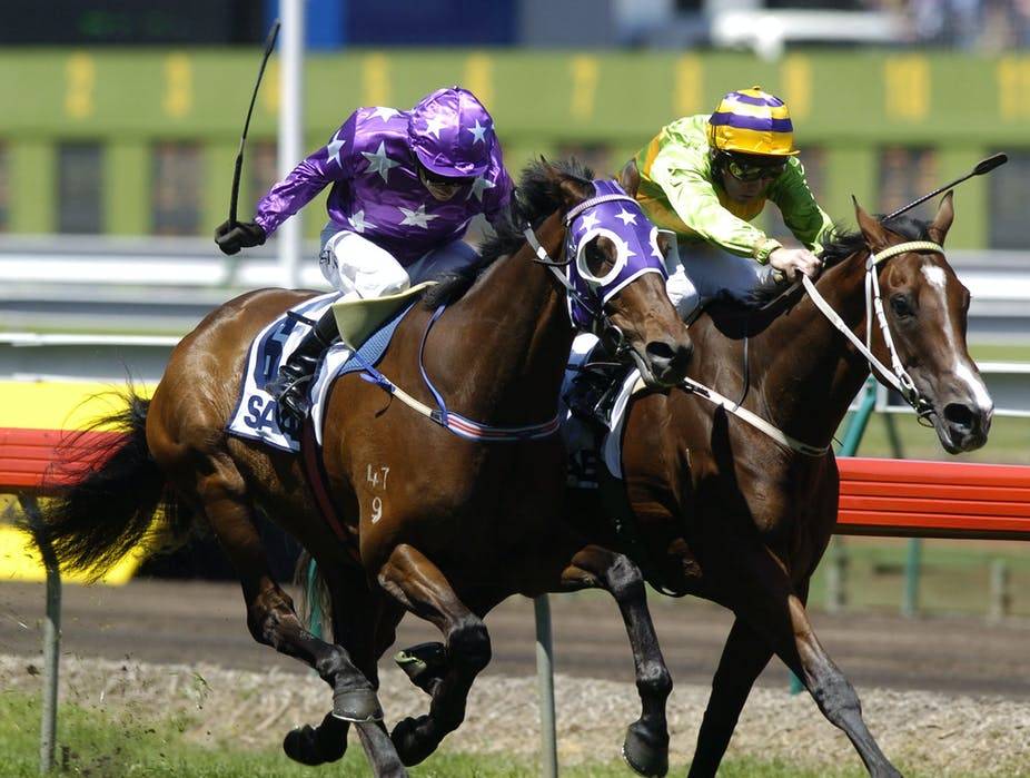 Racing Victoria Calls For Whip Use to be Banned