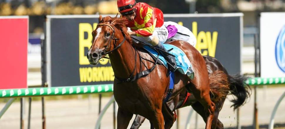 Star Queensland colt in Melbourne debut