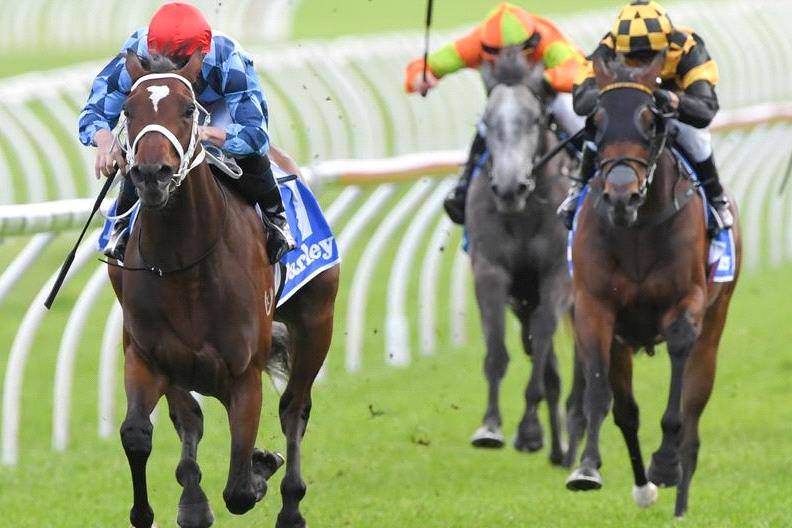 12 September: Run To The Rose Day Rosehill Preview