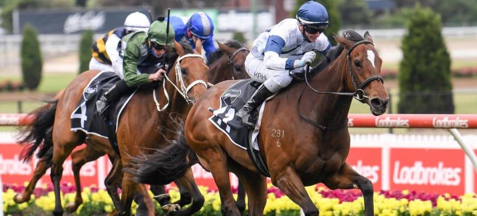 Miami Bound Escapes 2020 Melbourne Cup Weight Penalty