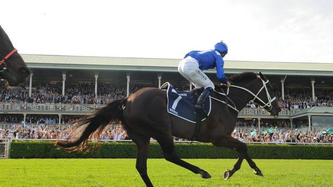 Winx in Good Health After Losing Foal