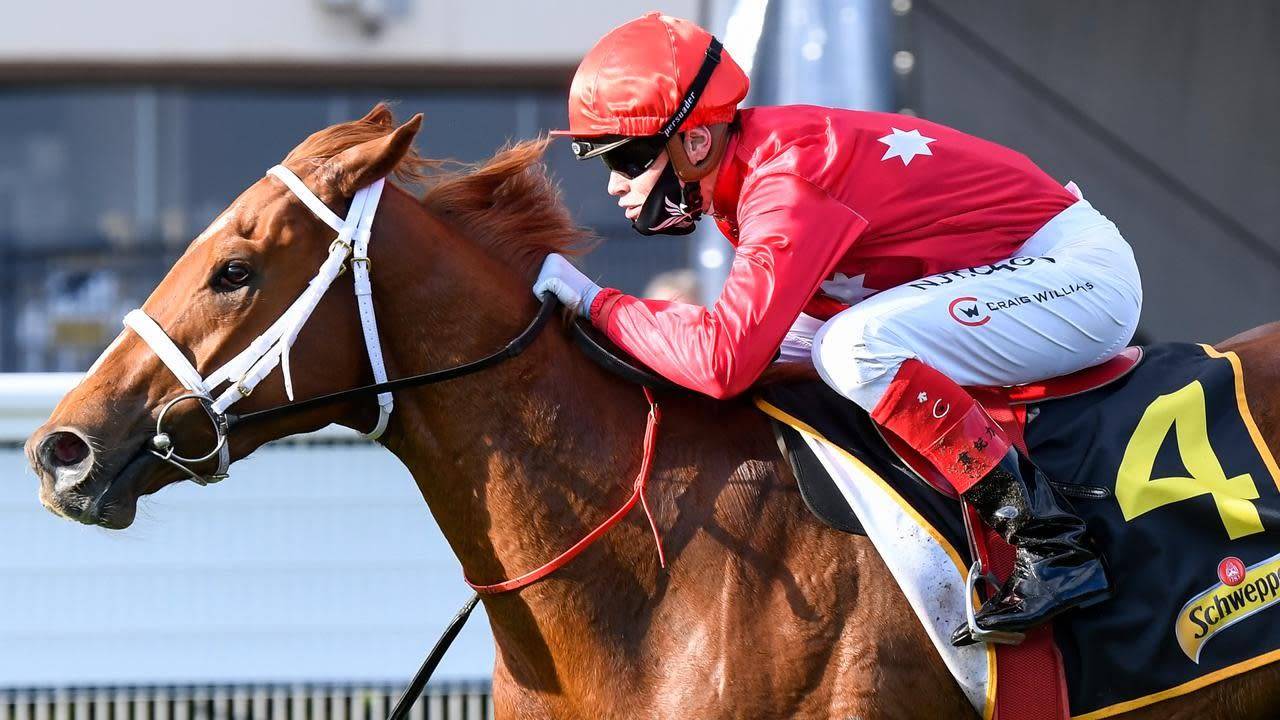 2020 Thousand Guineas Preview, Odds, & Tips