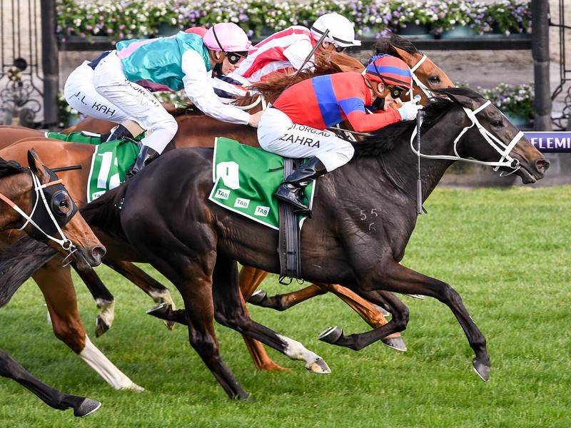 2020 Caulfield Cup Preview, Odds, & Tips