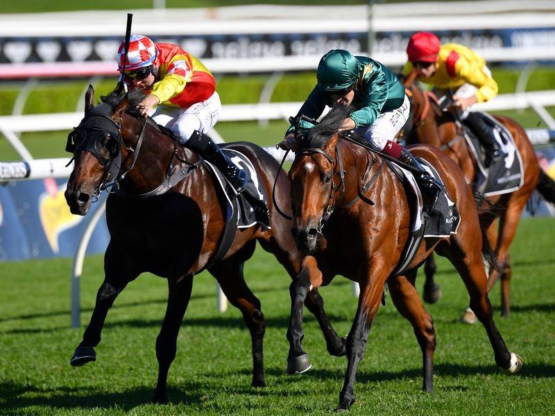 King’s Legacy ready to reign in Guineas