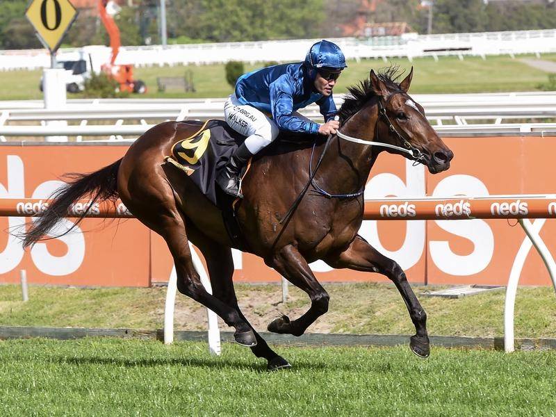 Walker makes most of Guineas opportunity