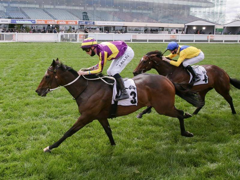 Corstens pair ready for Coolmore sprint