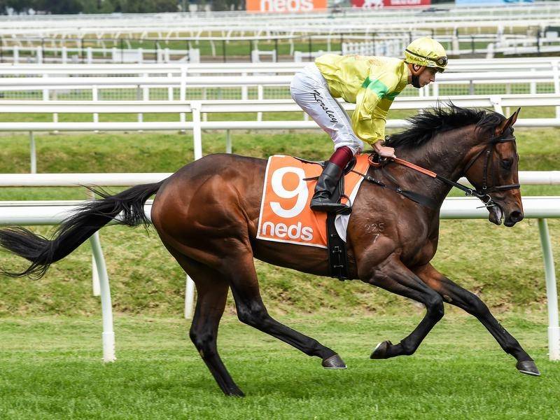 Cumani stayer ready to Hit the Derby