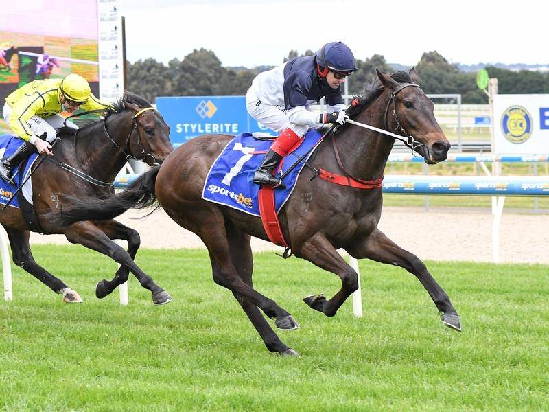 Price ready for a big week at Flemington