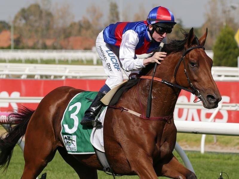 Hot Field Locked in for 2020 Geelong Cup: Barrier Draw & Odds