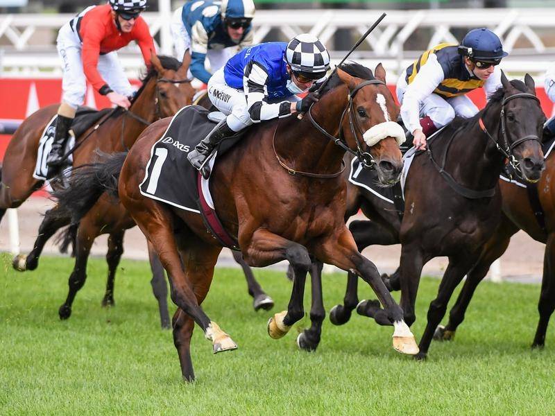 Ashrun races his way into Melb Cup field