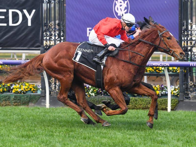 Cherry Tortoni ready for Guineas clash