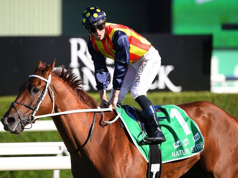 Waller happy duo on target for Everest