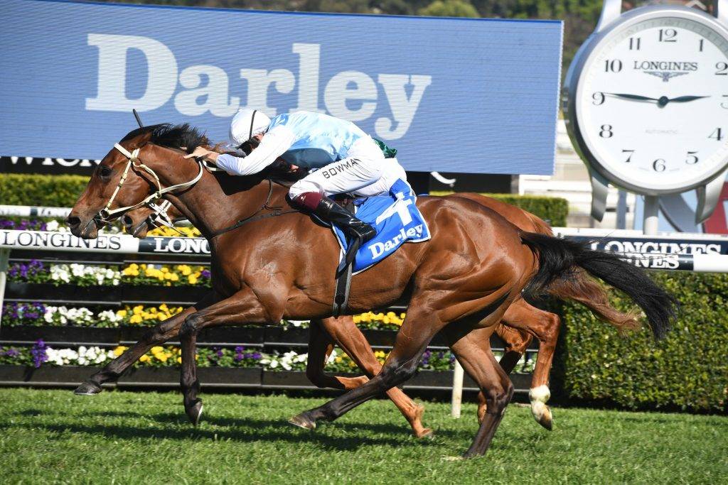 2021 Surround Stakes Runner By Runner Preview, Odds & Tips