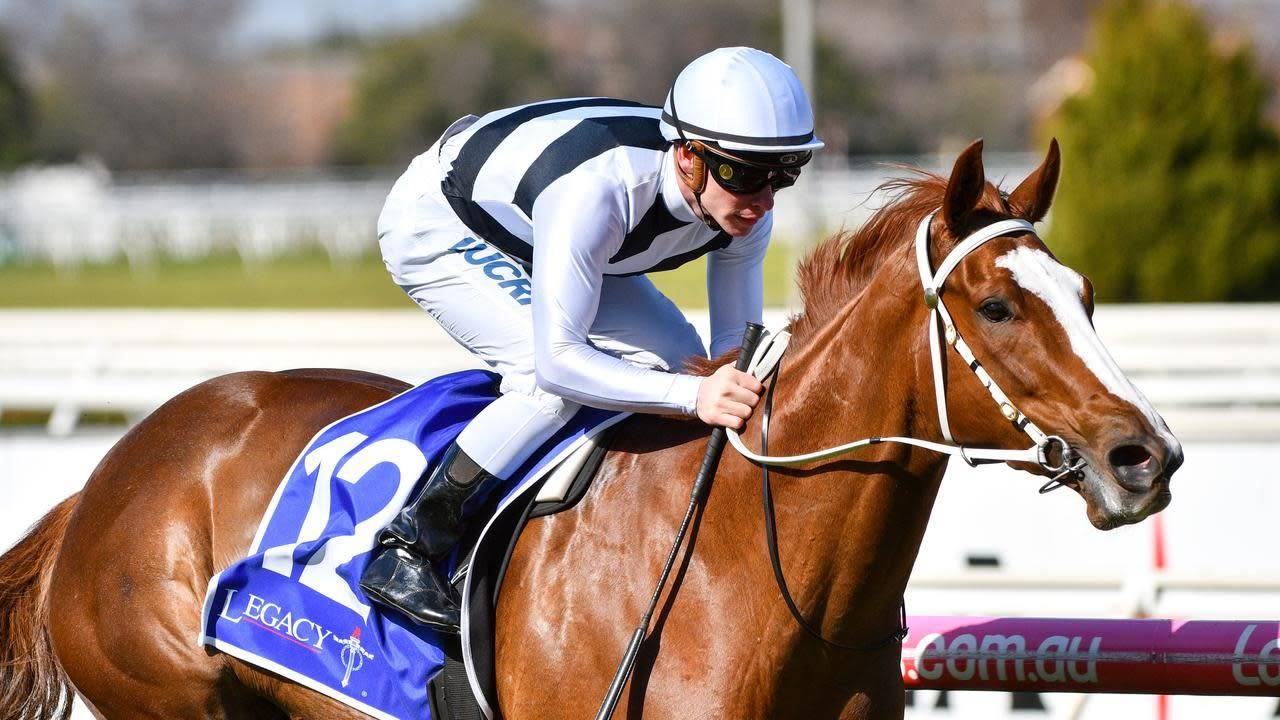 2020 Manikato Stakes Field, Barriers, & Odds