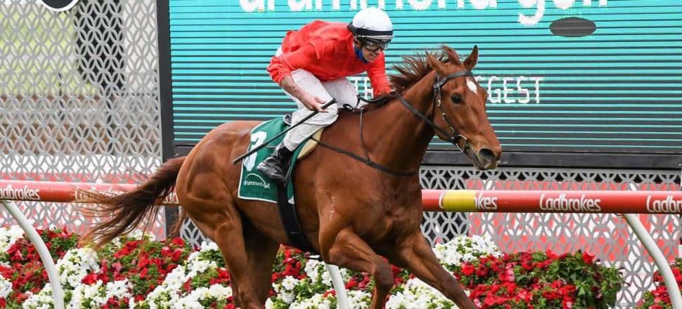 2020 Victoria Derby Runner By Runner Preview, Odds & Tips