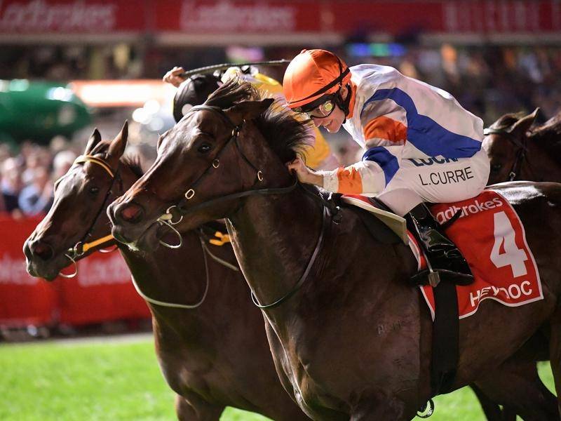 Doc chasing second Manikato Stakes crown