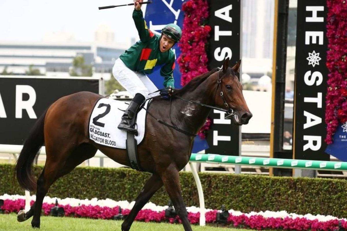 Alligator Blood Claims Queensland Racehorse of the Year Honour