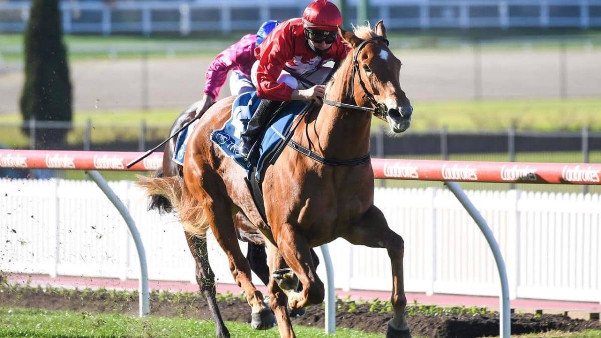 Brooklyn Ready to Hustle in 2020 Manikato Stakes