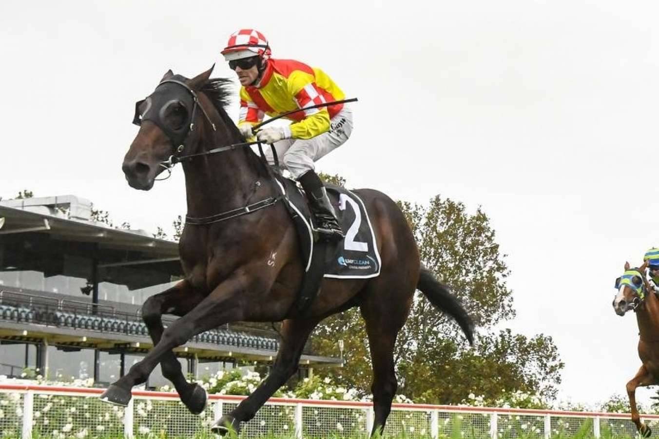 Glenfiddich Ruled Out of 2020 Caulfield Guineas