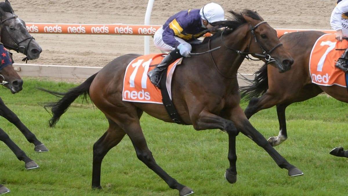 Aktau Out of 2020 Caulfield Cup, Raheen House In