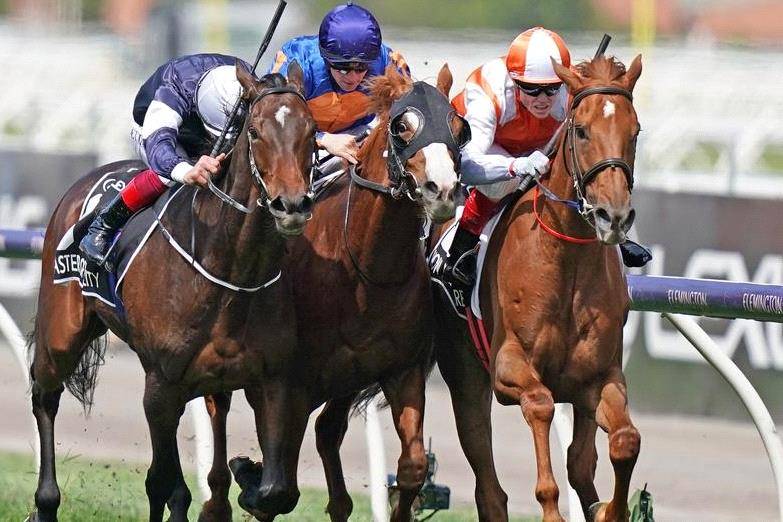 Melbourne Cup Placegetter Il Paradiso Nearing Return