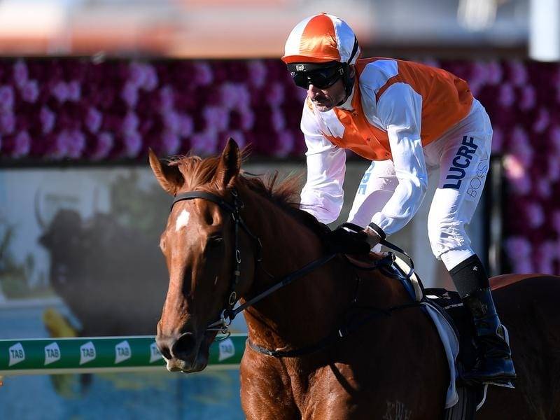 Vow And Declare to Target 2021 Melbourne Cup