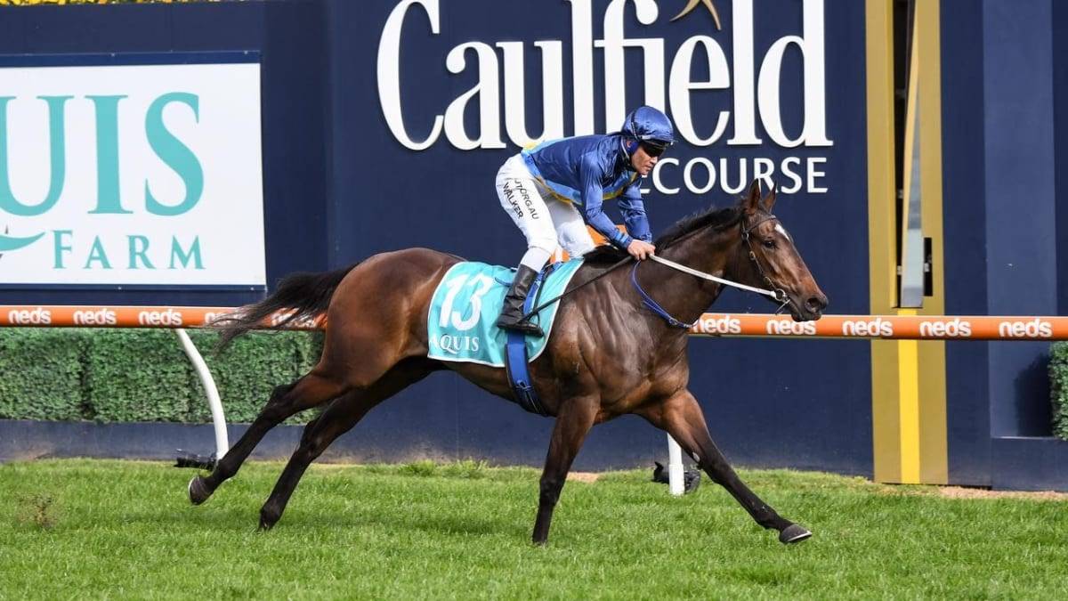Odeum Opting for Quiet Autumn to Target 2021 Cox Plate