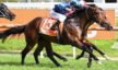 Queen and Sky share Oakleigh Plate honours