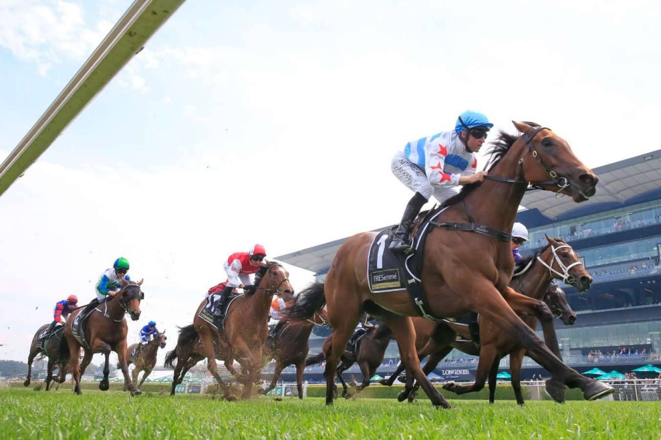 Freedmans land maiden Group One win
