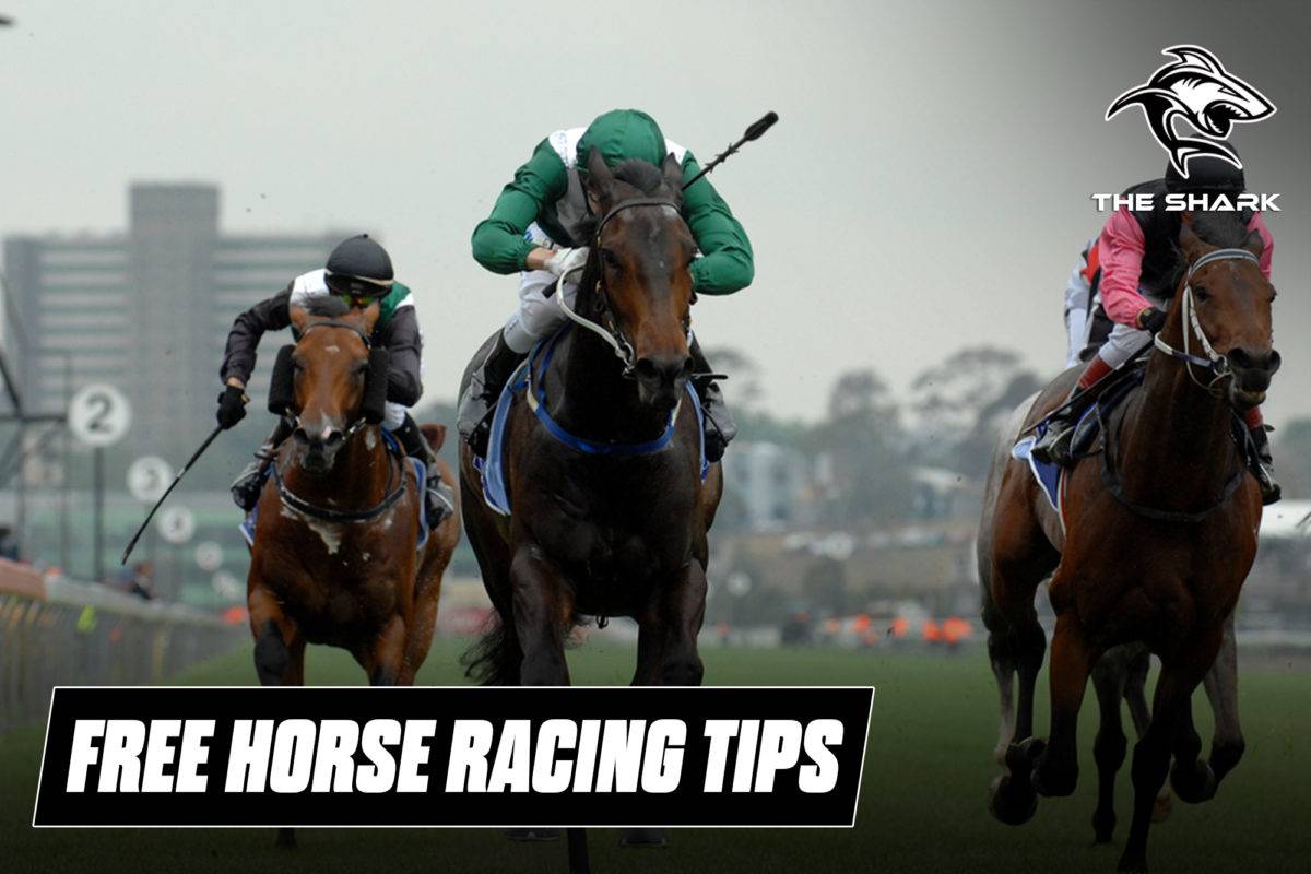 2021 Caulfield Stakes Runner By Runner Preview, Odds & Tips