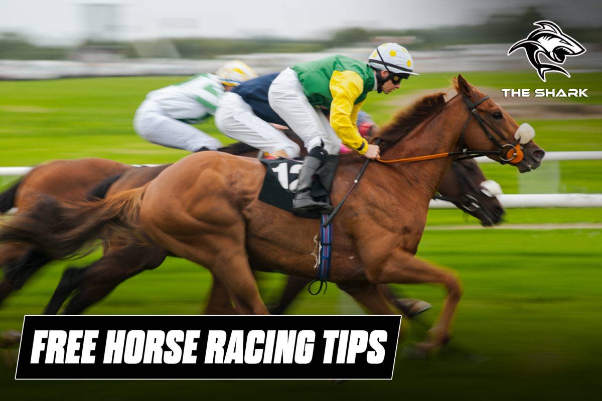 2021 Railway Stakes Runner By Runner Preview, Odds & Tips