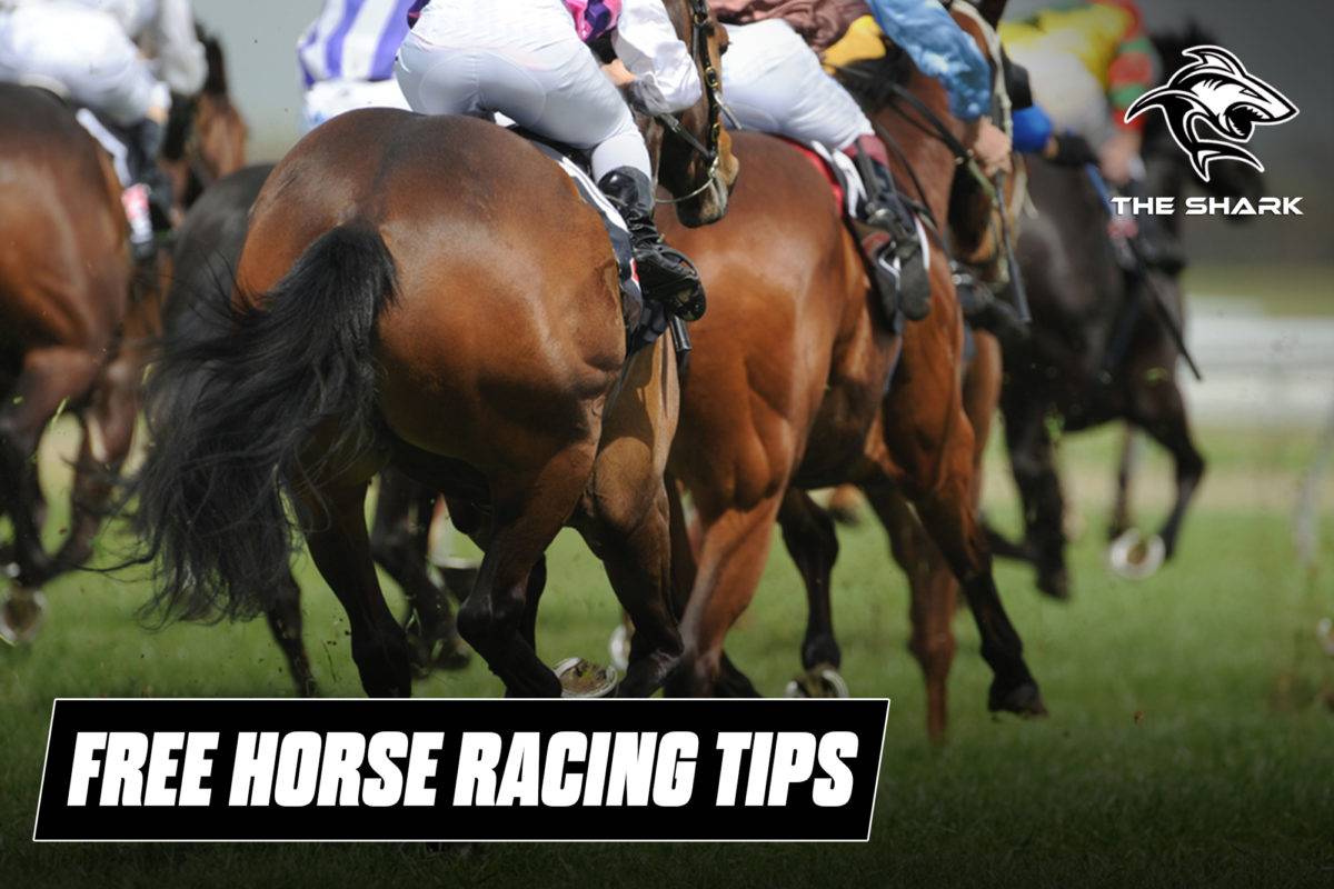 2021 Rosehill Gold Cup Runner By Runner Preview, Odds & Tips